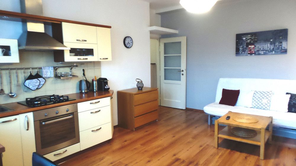 Cozy flat by metro C near centrum, Prague 4 preview