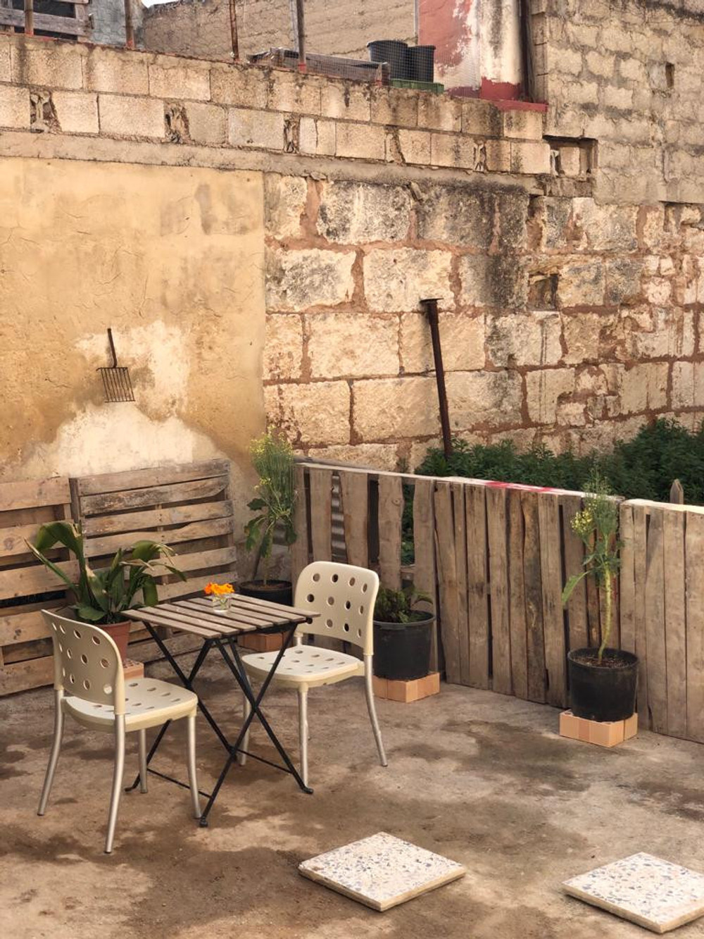 Coliving Rooms in Mallorca (Rm. 7)