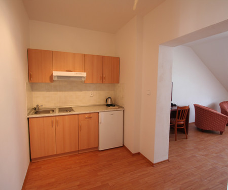 Apartment for rent 1 + 1, Prague 2, Vinohrady