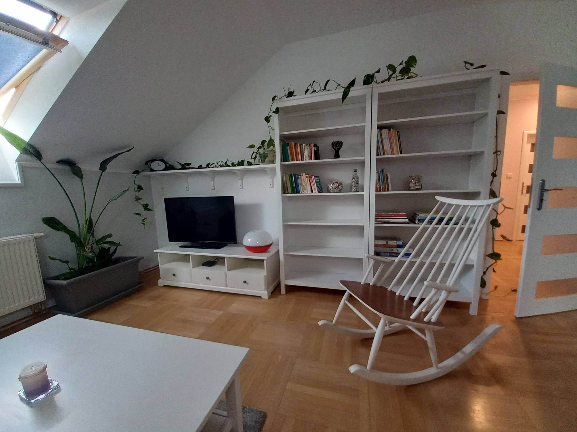 Living room with bookshelves and TV