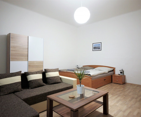 Newly renovated apartment 1+1 in Letná district