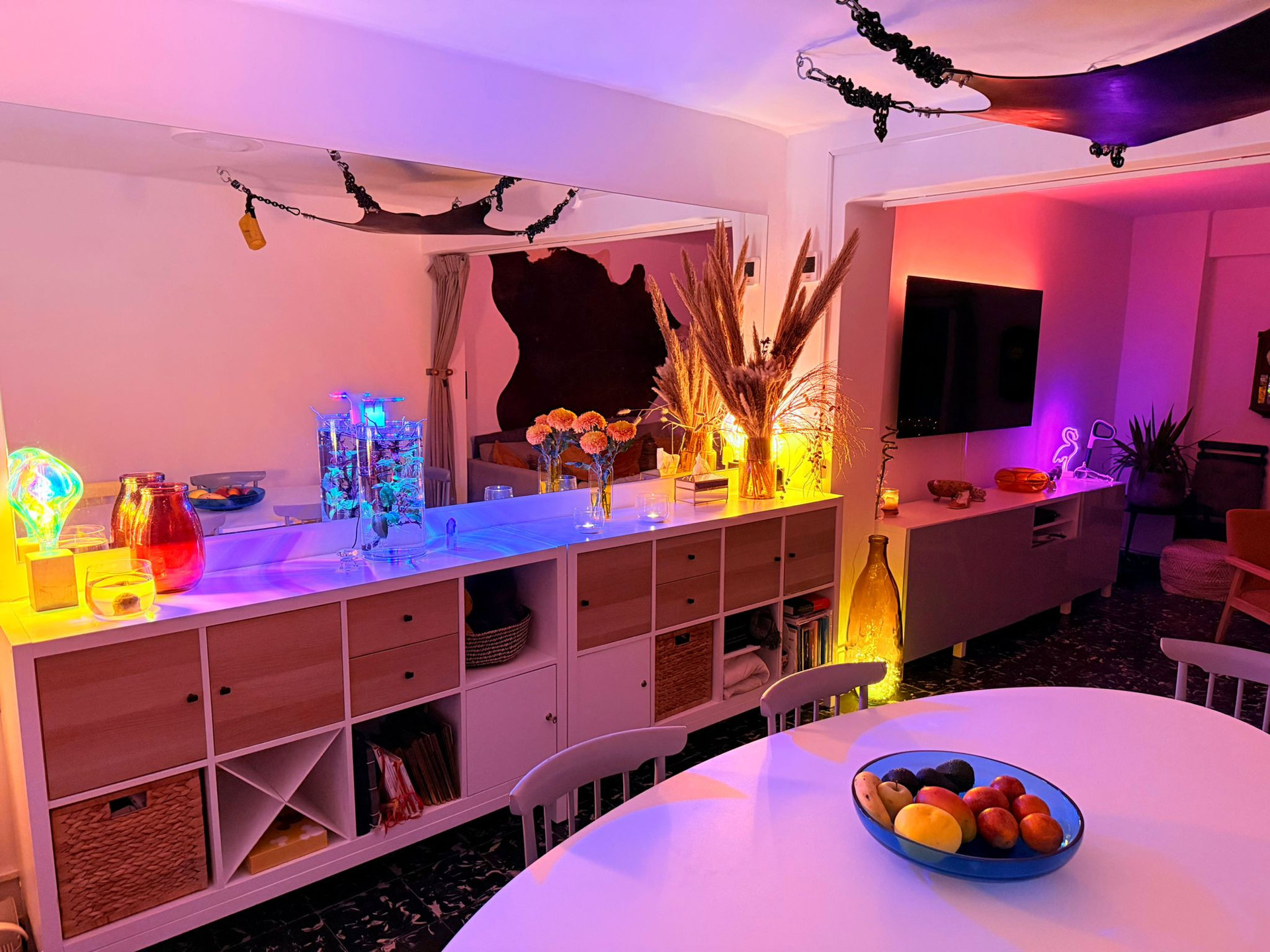 Dinning room / workplace