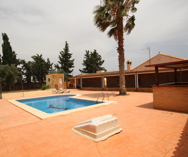 Pool with palm and house
