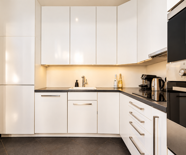 Hound Deluxe Suite | Historic Vysehrad Luxury