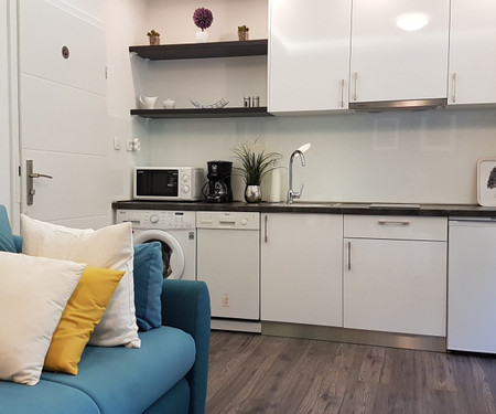 Apartman Petrova ulica