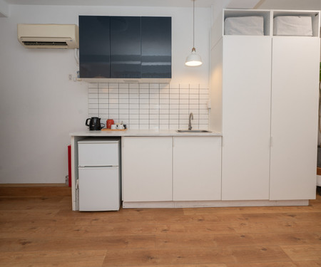 Spacious 1 BR flat - close from Central Tokyo