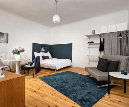 Cozy studio near Helmholtzplatz, Prenzlauer Berg