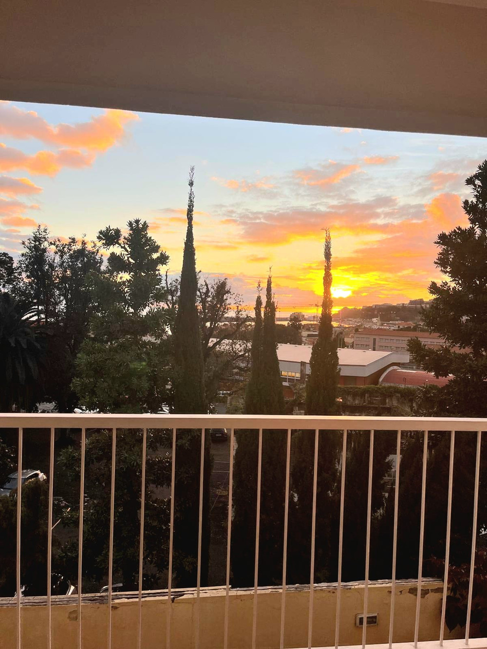 Funchal Sunset Escape preview