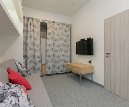 Spacious Room in the Heart of Zadar