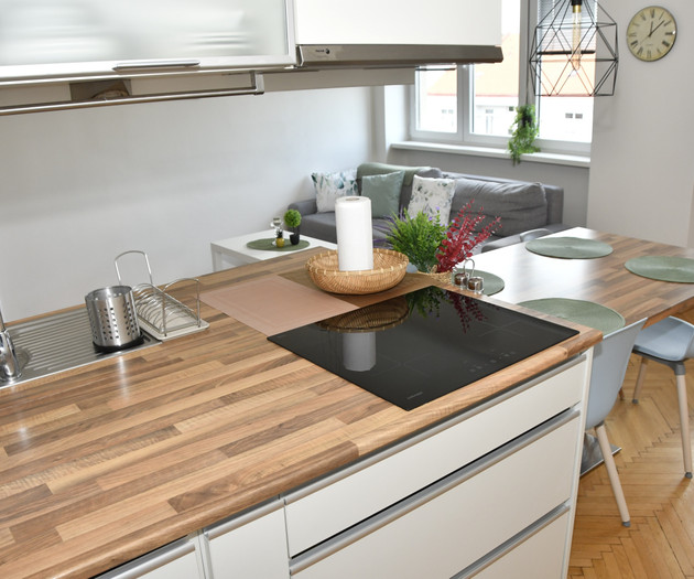 modern apartment 3+kk, centre of Prague, Vysehrad