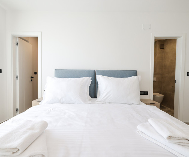 Deluxe apartment VII