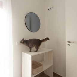 Landlords profile photo