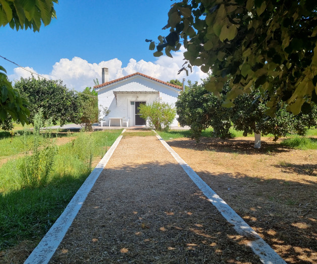 CountryHouse into a farm