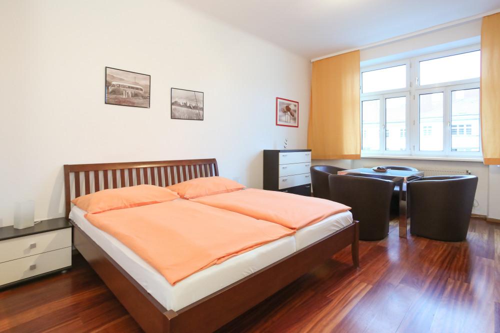 Bright Apartment near Blue Danube river, UNO City preview