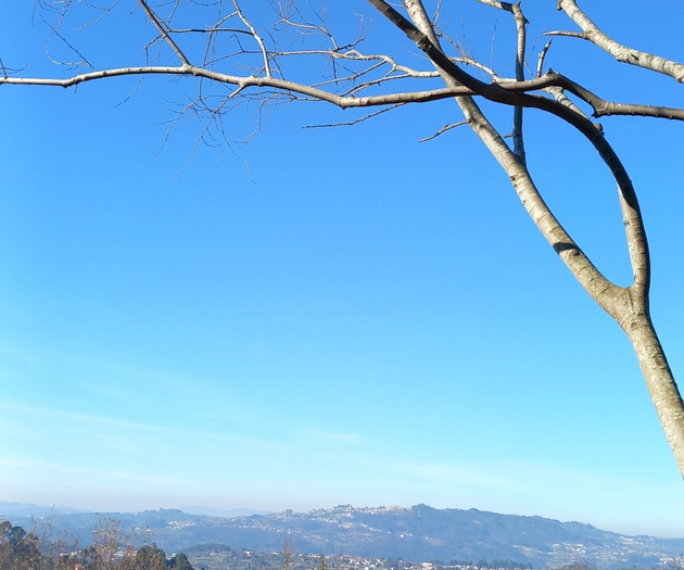 Quiet house in the mountains Amarante