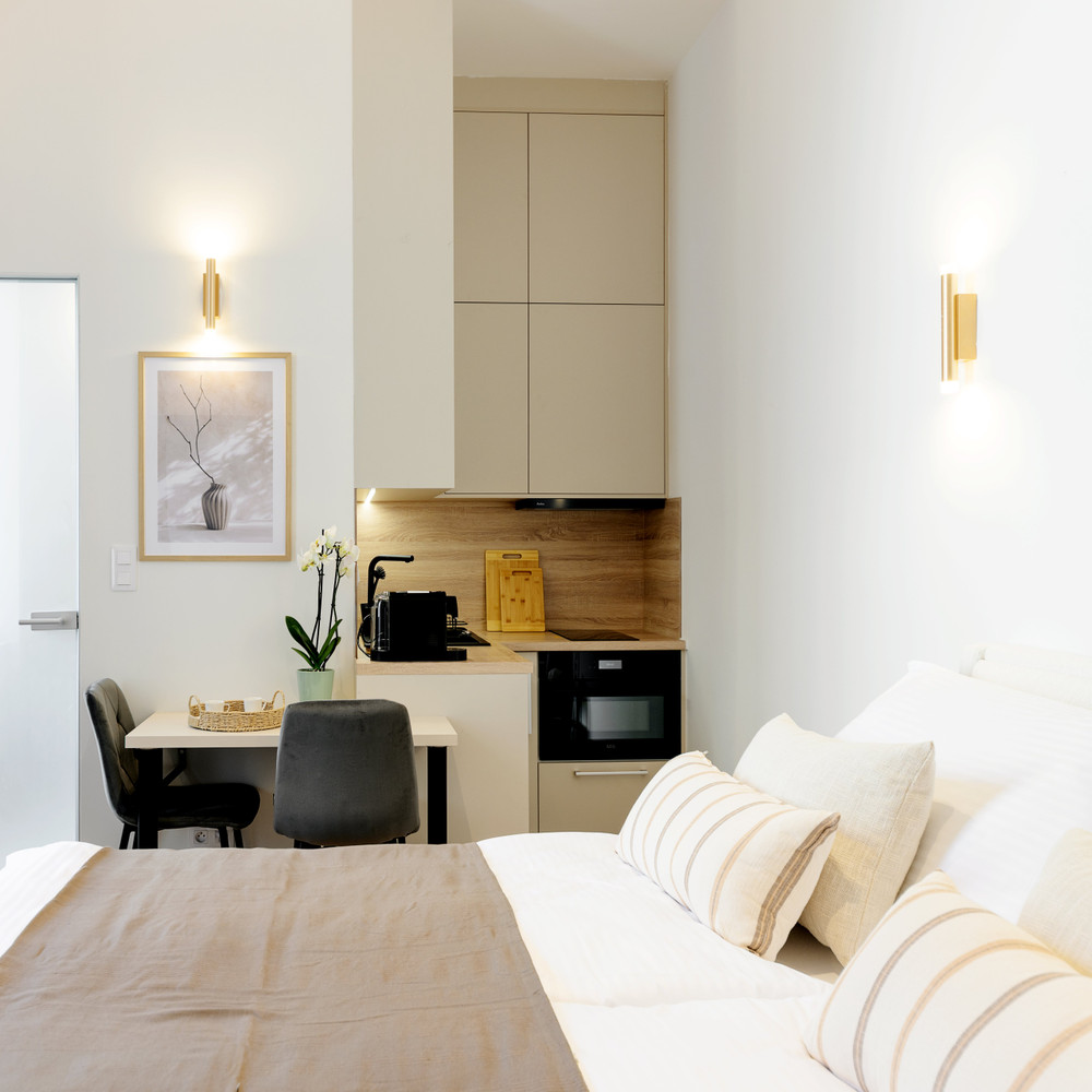 Luxury City Center Apartment 1+kk preview