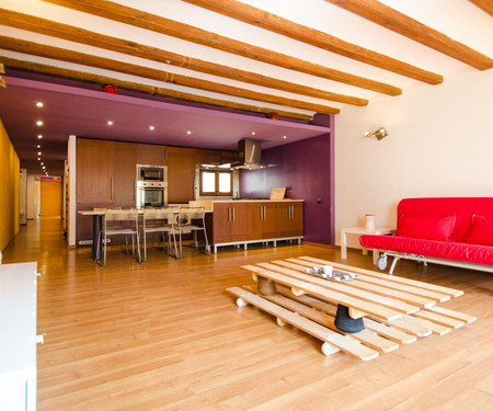 Nice loft of 100m2 in open space, bright, equipped