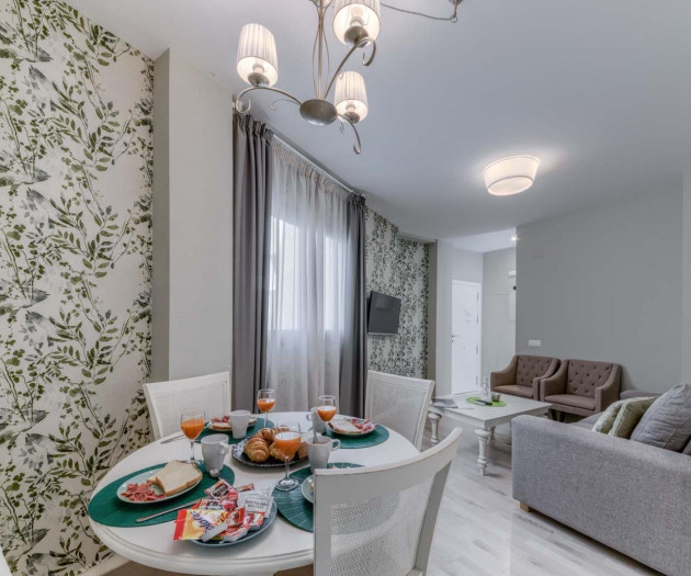 H2M Suites 1 bedroom with rooftop terrace