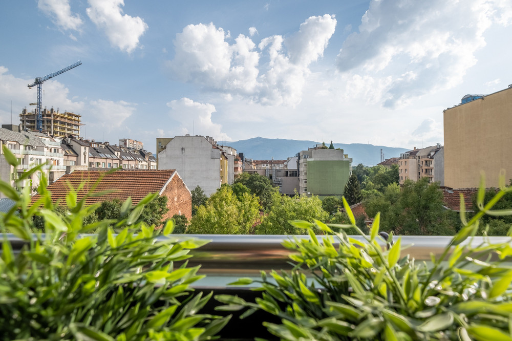 Image #26