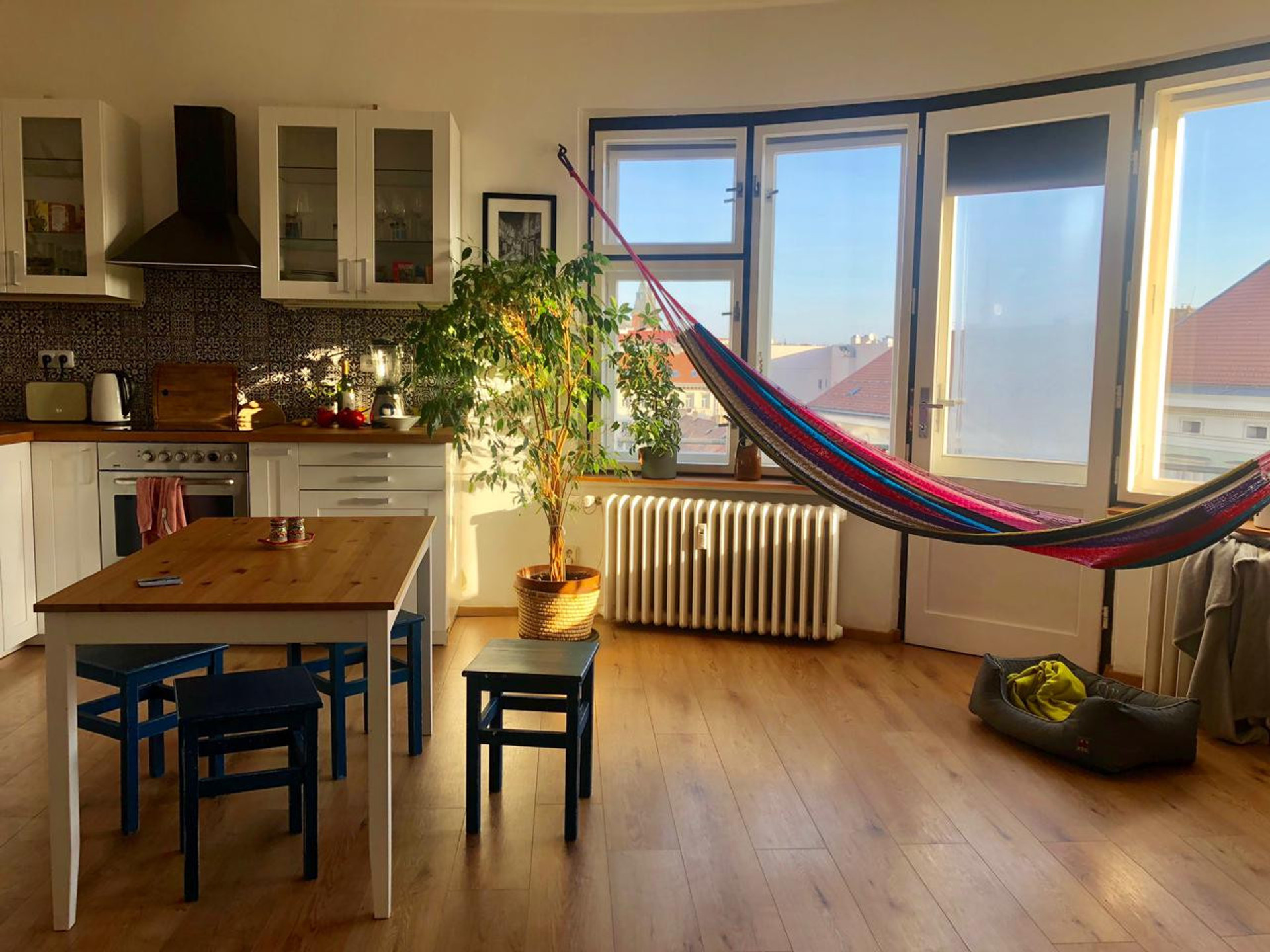 The sunny living room and kitchen area 