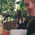 Tenant photo