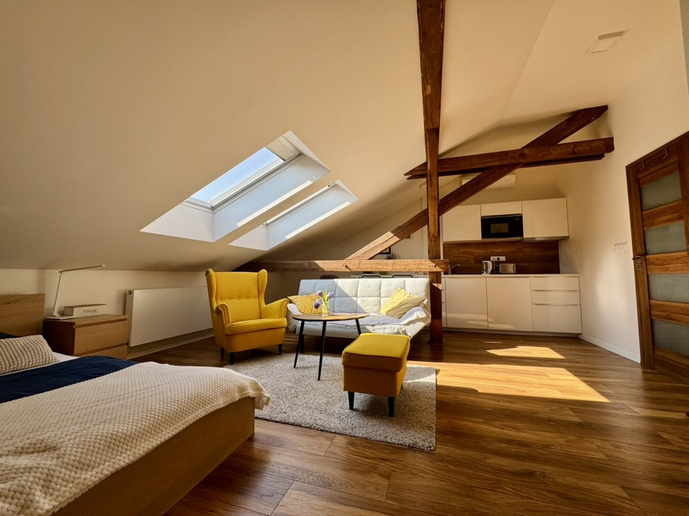 Charming loft apartment preview