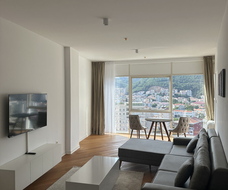 BIG Flat in Center of Budva