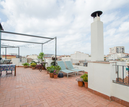 Exceptional Penthouse near Arc de Triomf