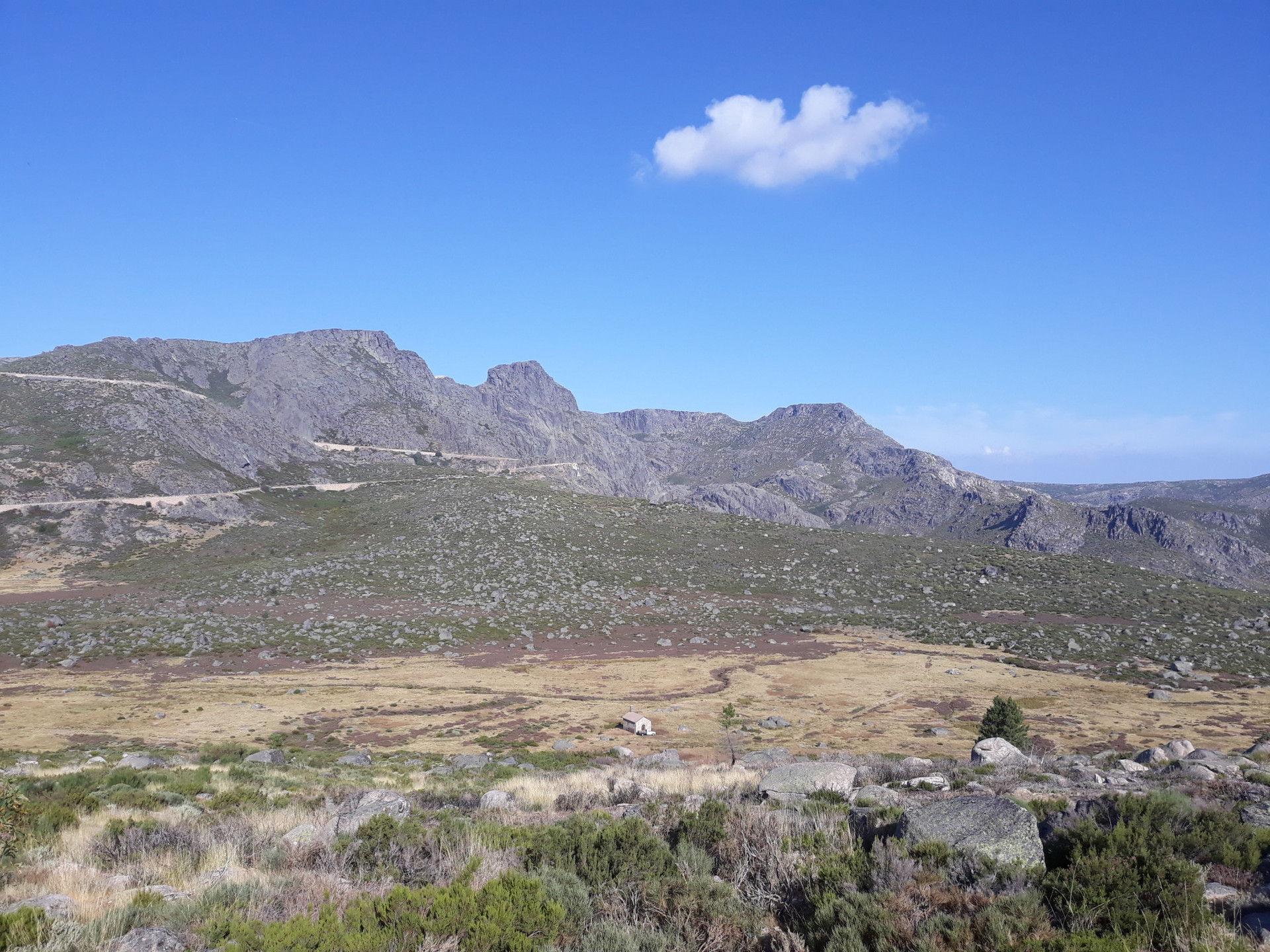 Landscape
