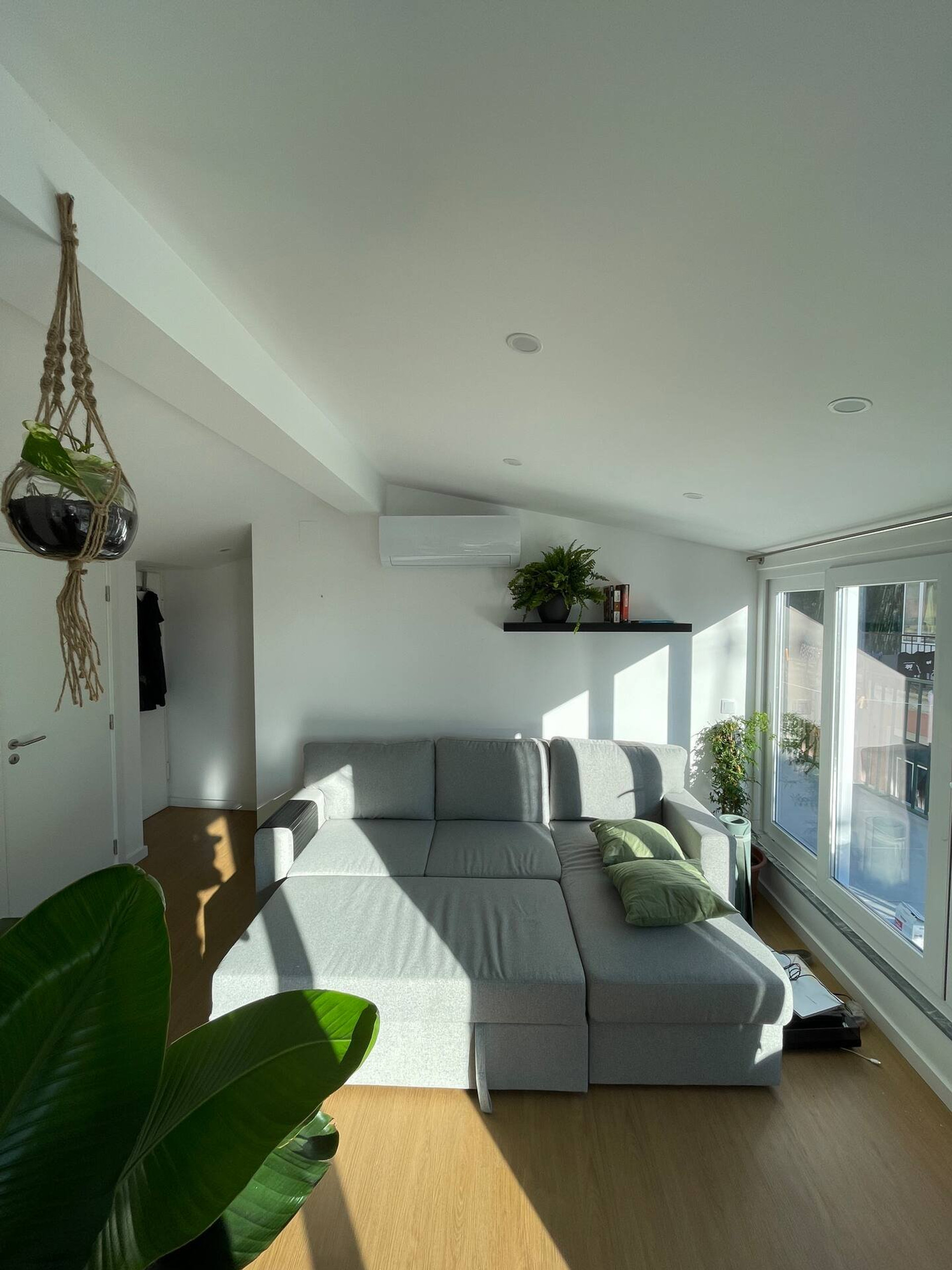 Living room with sofa bed