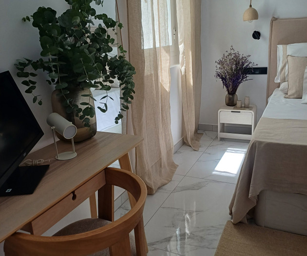 Bedroom desk with plant