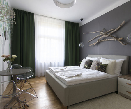 Rooms for rent  - Prague 2 - Vinohrady