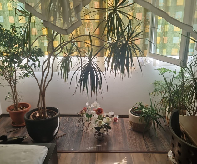 Large Group Accommodation Bucharest, 4 apt,20slips