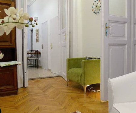 Palace apartment on Andrassy Avenue