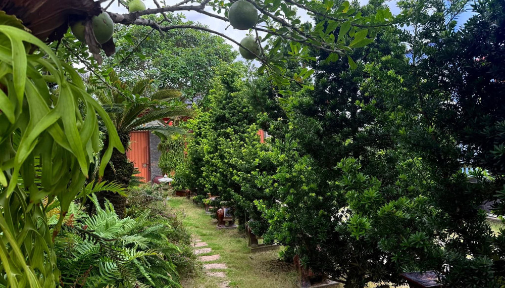 Peaceful Nature Retreat Near Ho Chi Minh City preview