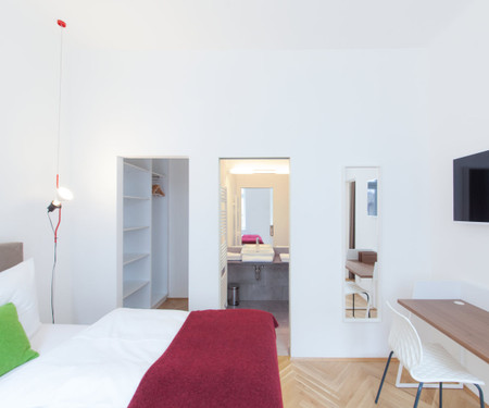 Fully equipped Vienna Flair Apartment Basic KST/42