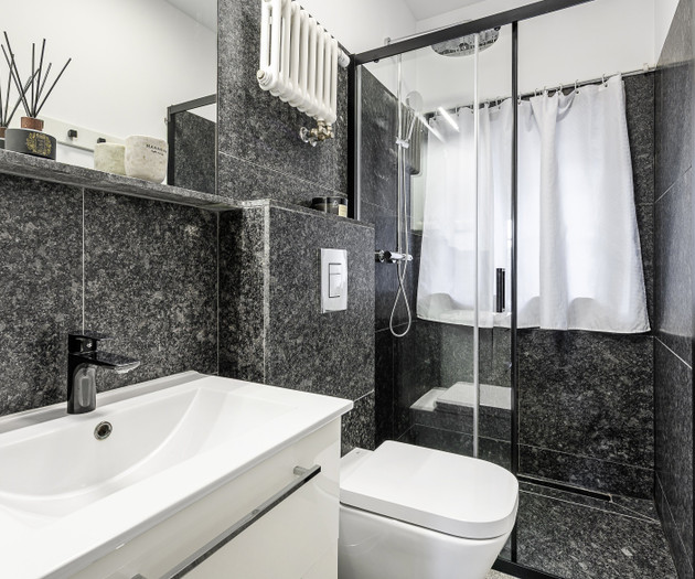 Lumina 3-room apart near the Royal Castle
