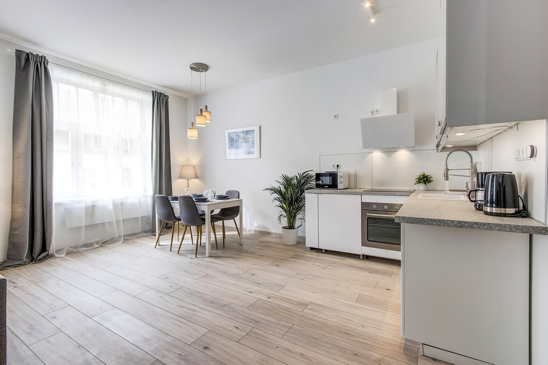 Living room/Kitchen