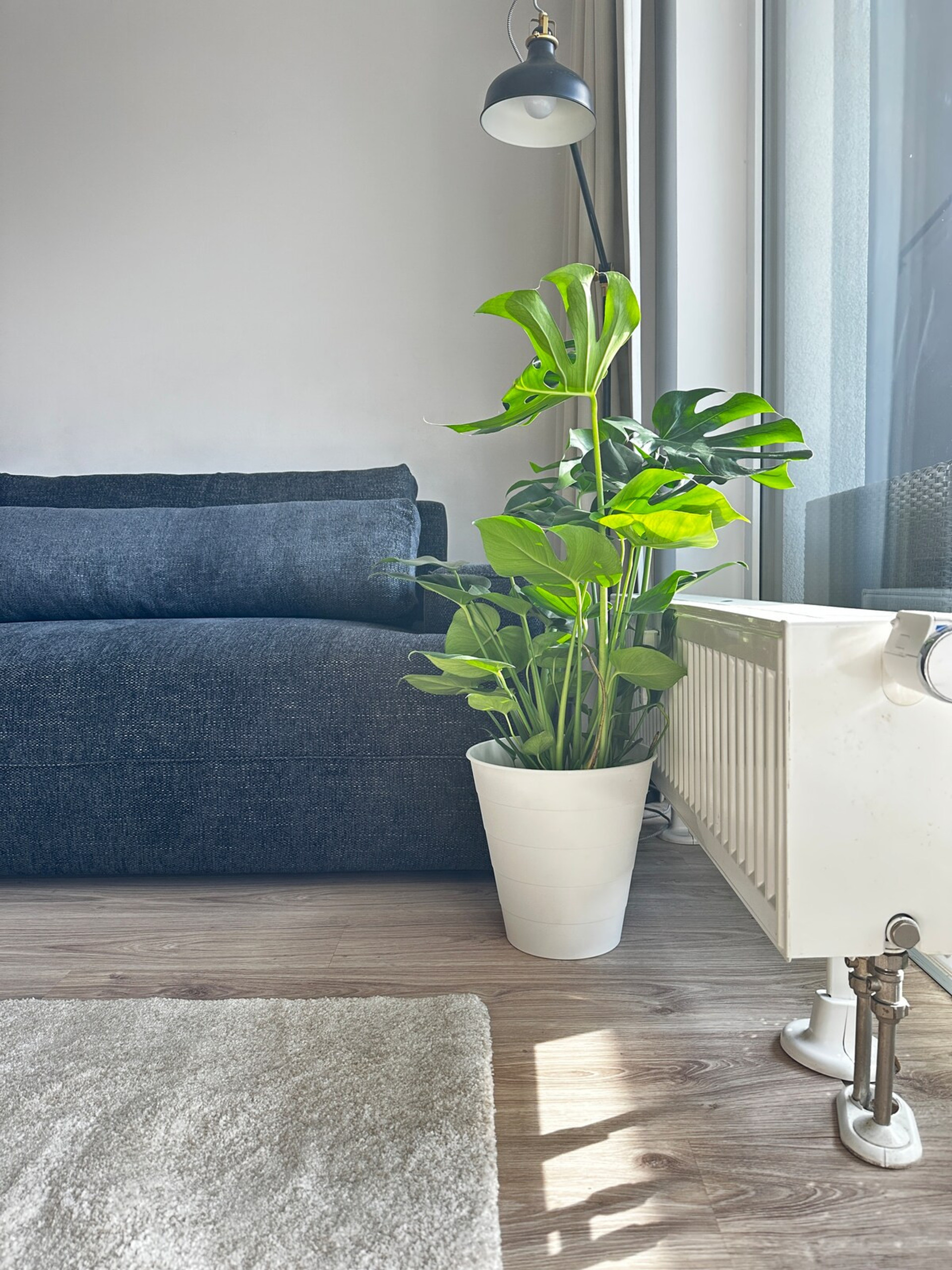 Living room image 2