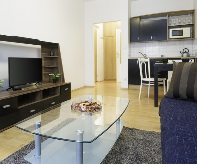 Warm and quiet studio in Prague downtown