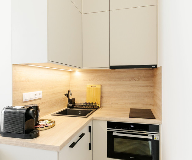 Luxury City Center Apartment 1+kk