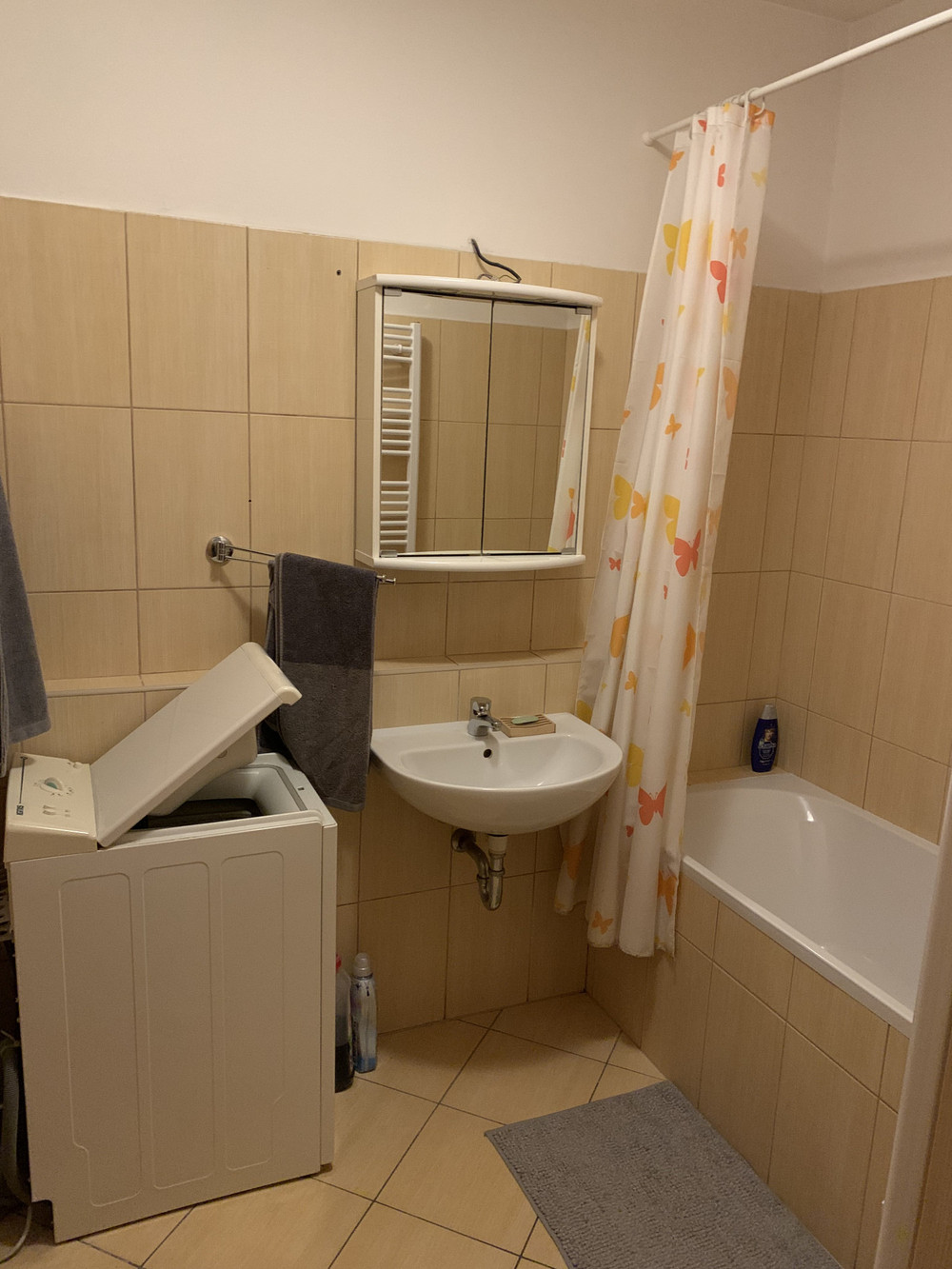 Sunny apartment close to the Prague centre