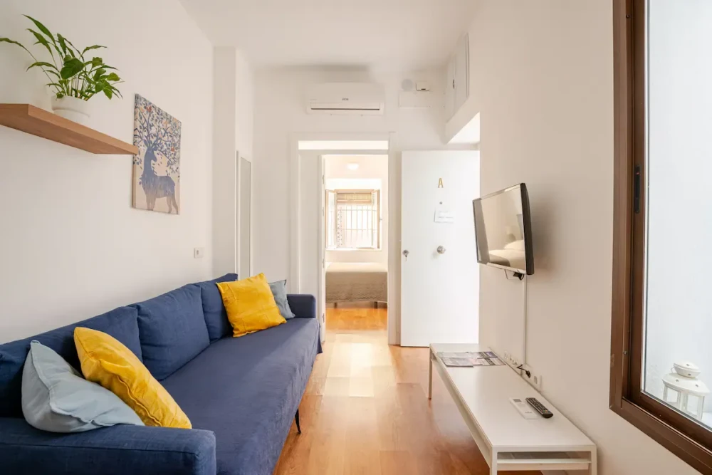 Beautiful ground floor duplex in Casco Antiguo preview