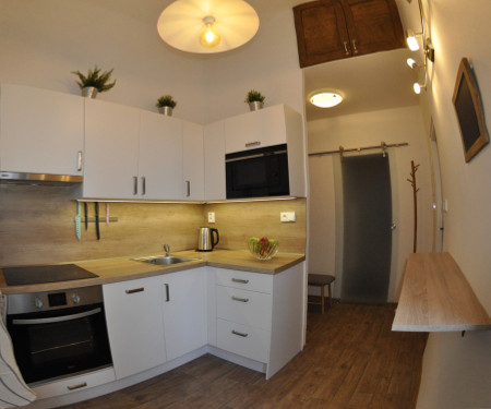 Newly reconstructed apartment at Letna