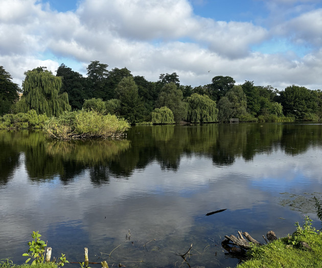 Lake view with greenery