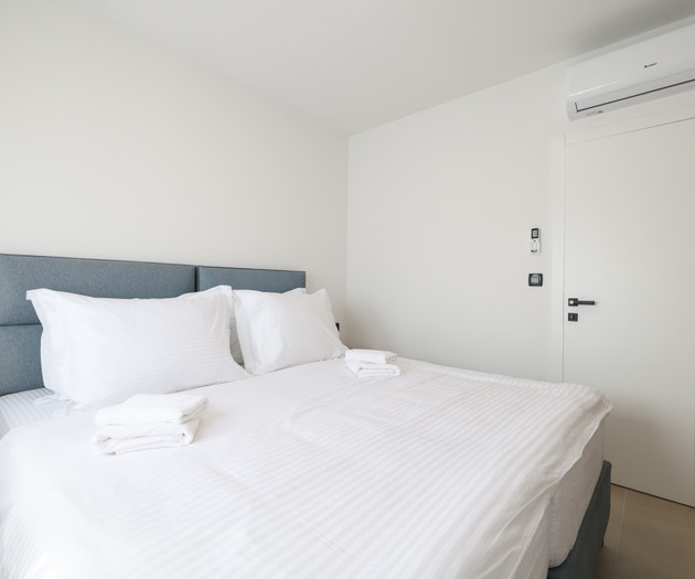Deluxe apartment VIII