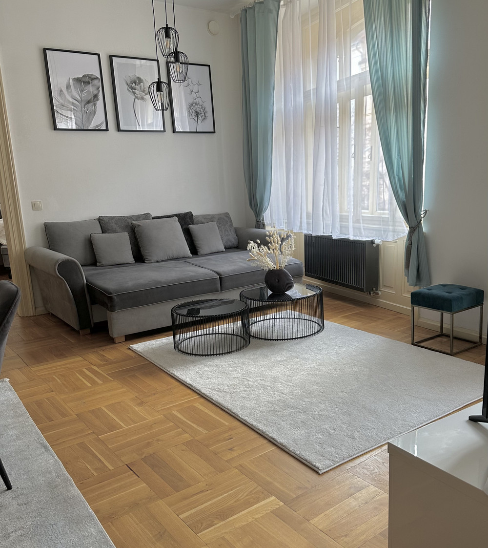Spacious apartment in the center of Prague preview