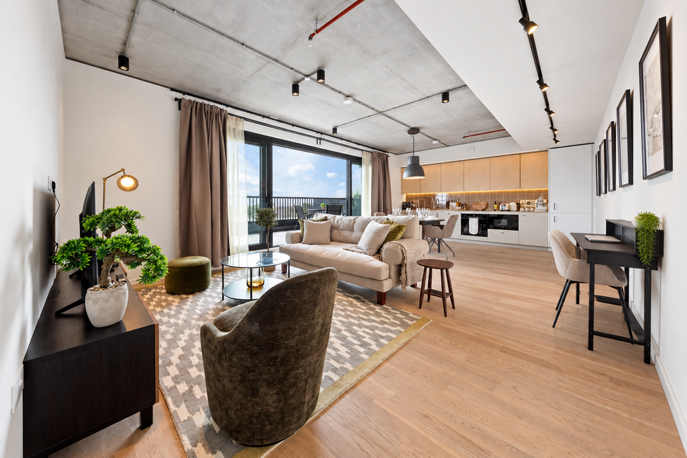 Spacious Penthouse | Balcony, Parking + Workspace preview