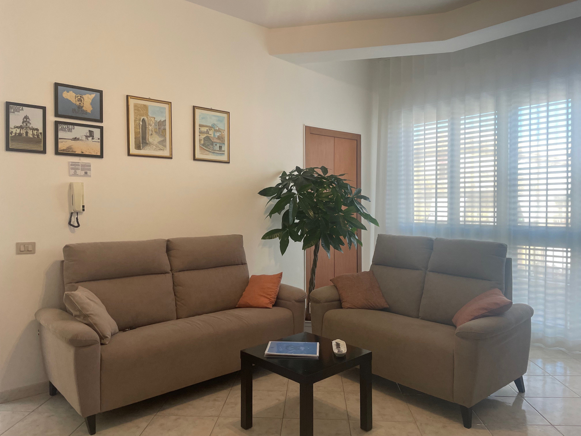 Spacious living room dual sofas