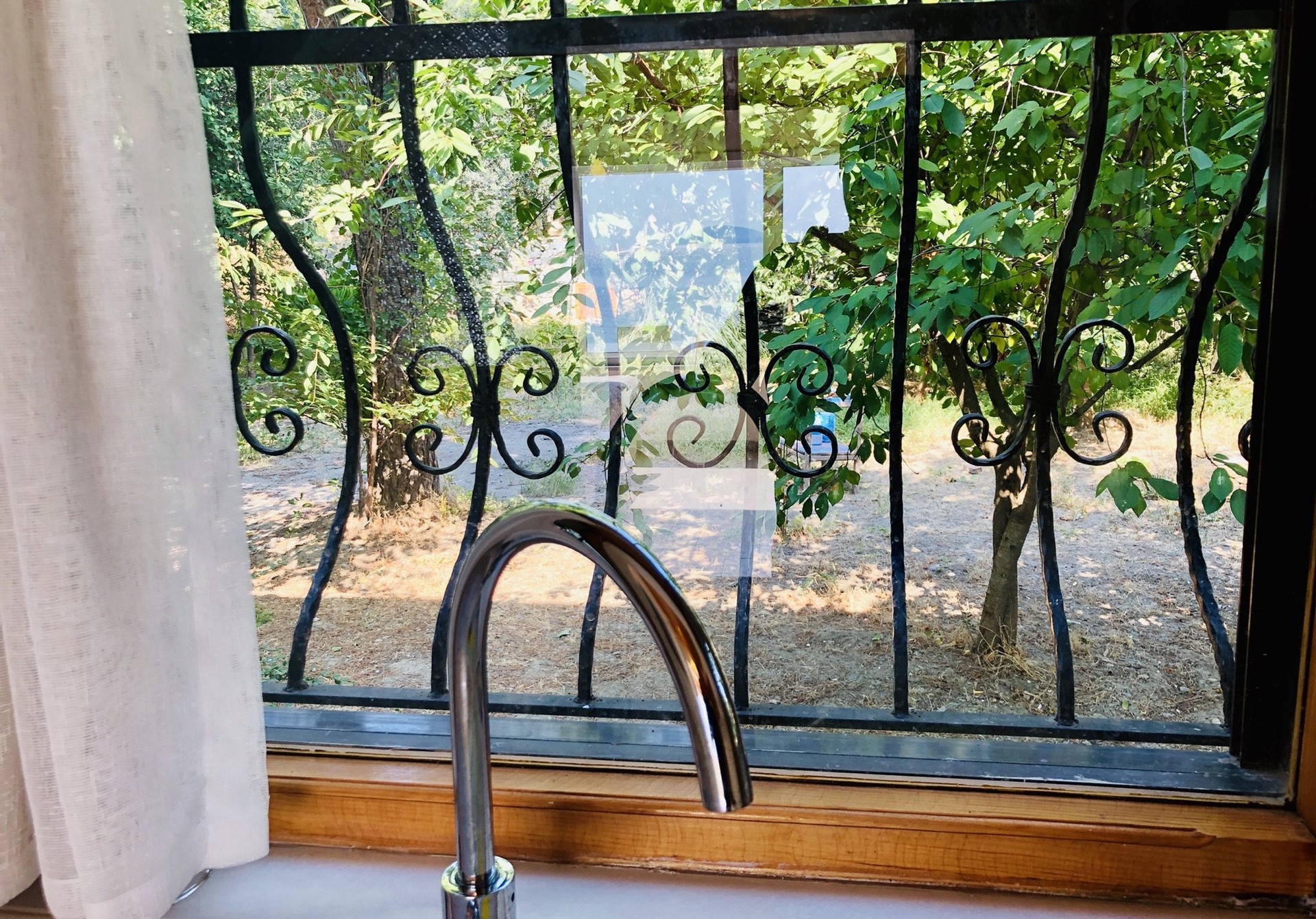 Kitchen sink with garden view
